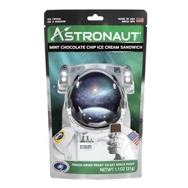 Astronaut Foods Mint Choc Chip Ice Cream Sandwich