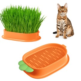 Plant Germination Trays, Home Tray Planter Germination Grower Planting ， Soilless Cat Grass Sprouting Tray in Carrot Style dadop