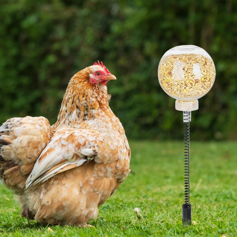 2-Pack Chicken Feeder, Chicken Toys for Hens with Spring and