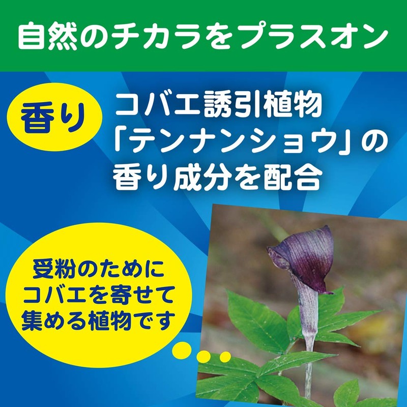 KINCHO Koba Fly Potton Hanging Type Koba Fly Trap, 2