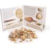 Namvo Fossil and Rock Box Set for School Geological Education