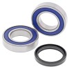 Kawasaki Brute Force 300 KVF300 2012-2024 Rear Wheel Axle Bearings & Seals
