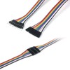 Aoowei 2 in 1 Dupont thread 10 Pin Jumper Wire