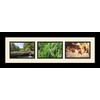 ArtToFrames Collage Photo Frame Single Mat with 3-4x6 Openings and