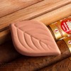 1 x Brown Sugar Container for Moist Fresh Preservation, Reusable