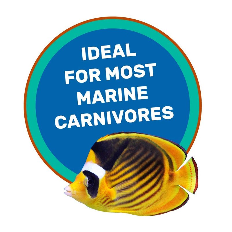 Hikari 042220 Carnivore Medium Sinking Pellets Marine Fish Food, One