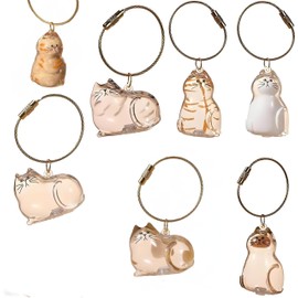 Anpyxun 6 Pcs Cat Hair Keychain Keepsake - Clear Acrylic Fur Memorial Capsule for Pet Hair Preservation