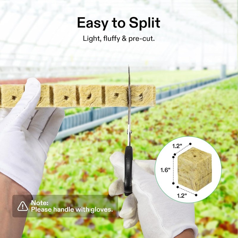 VIVOSUN 72 Plugs 1" Rockwool Cubes for Hydroponics w/ 72