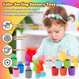 Dandin Colour Sorting Cups, Peg Dolls in Cups, Colour Sorting Toys for toddlers, Wooden Learning Sorting Toy, Matching Games Color Sorting Toys, Color Sorting Montessori Sensory Toy for Toddlers