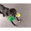 KONG Off/On Squeaker Bone Pequeño