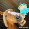 Likit Horse Treats Assorted 650g (box of 12) | Flavours