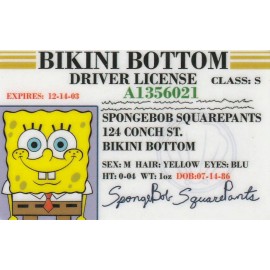 Bikini Bottom Under the Sea Pineapple Animated CArtoon Show card Drivers License