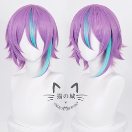 Neko Castle Kamishiro Rui Cosplay Wig, Heat Resistant, Wig, Project Sekai, Colorful Stage! Costume Accessories, Parties, Events, Masquerade, Wig Net Included