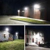 MIHEAL 110V 2 Pack 10W LED Flood Light,Cool White, IP68