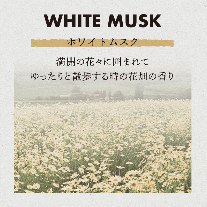 CARALL AWESOME DAYS Liquid White Musk [3554]