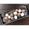 Eggcetera Ceramic Nest Eggs 12-Pack (White)