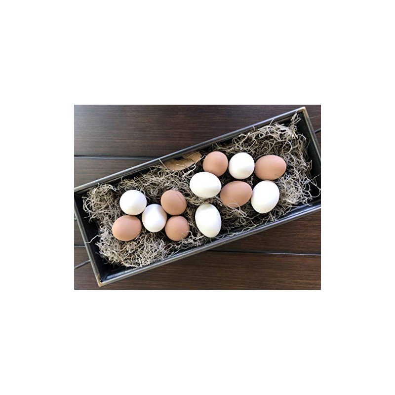Eggcetera Ceramic Nest Eggs 12-Pack (White)