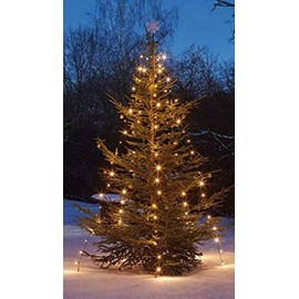 hellum 577907 Christmas Tree Lighting for Outdoor Use, 220 LEDs, Warm White, 10 Strands with Fixation, Height 180 cm, Christmas Tree Fairy Lights with Green Cable, 5 m Cable