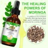 Aceite Moringa Crecimiento Capilar Antiedad Terapéutico