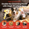 JAYU PET Magic Grooming Brush – Cat Brush for Shedding,