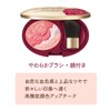 Coffret Doll Grand Live Up Cheeks 03 Rose Teak