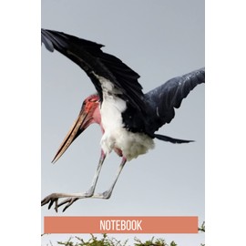 Bergamot Notebook: blank lined composition journal | Bergamot notebook | 100 pages