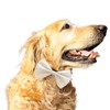 Ruse Pet Dog and Cat Bow Tie White Solid Easy