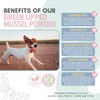 Dragonfly Products | Green Lipped Mussel Powder for Dogs and