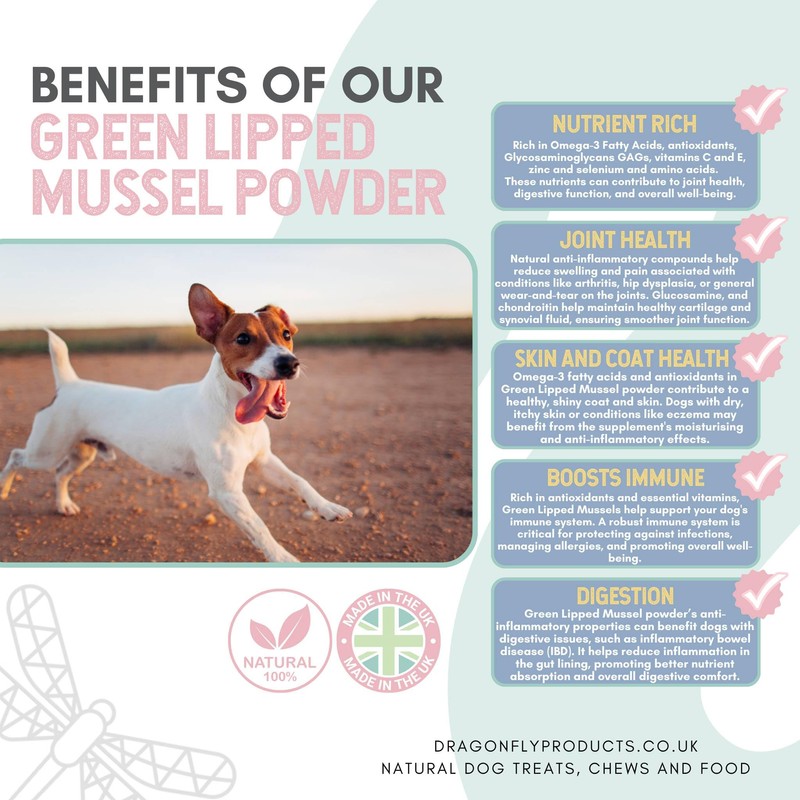 Dragonfly Products | Green Lipped Mussel Powder for Dogs and