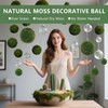 LOBUJOU 6pcs Moss Balls Decorative Faux Green Dried Artificial Moss