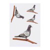 4 x 'Pigeon on a Branch' Temporary Tattoos - Water