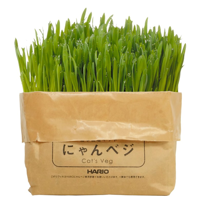 HARIO No-Mow Cat Grass Cultivation Kit nyanbeji Other Refill 2-Pack