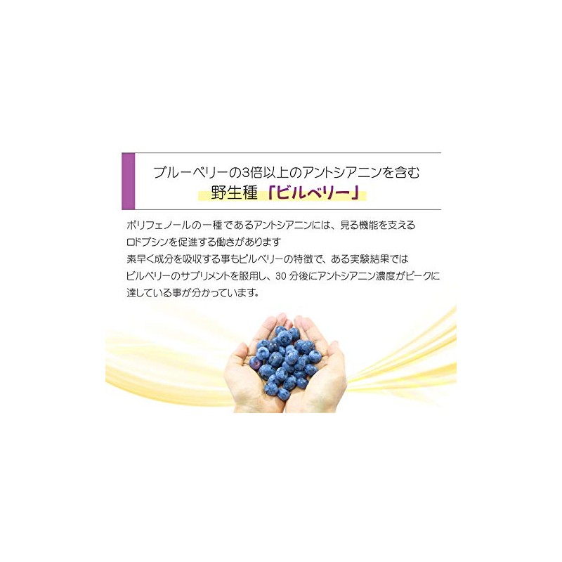 ビルベリー + ルテイン 60粒入 1ヶ月分 2粒にビルベリー 500mg ルテイン 9mg配合