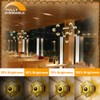 Half Chrome Light Bulb, Gold Tipped Light Bulb Dimmable, 6W