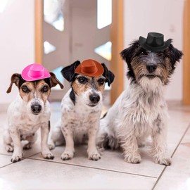 Liyquint 24-Pack Mini Western Hats, Mini Cowboy Hats, Western Mini Cowboy Hats Plastic Micro Doll Hat Craft Kit (White)