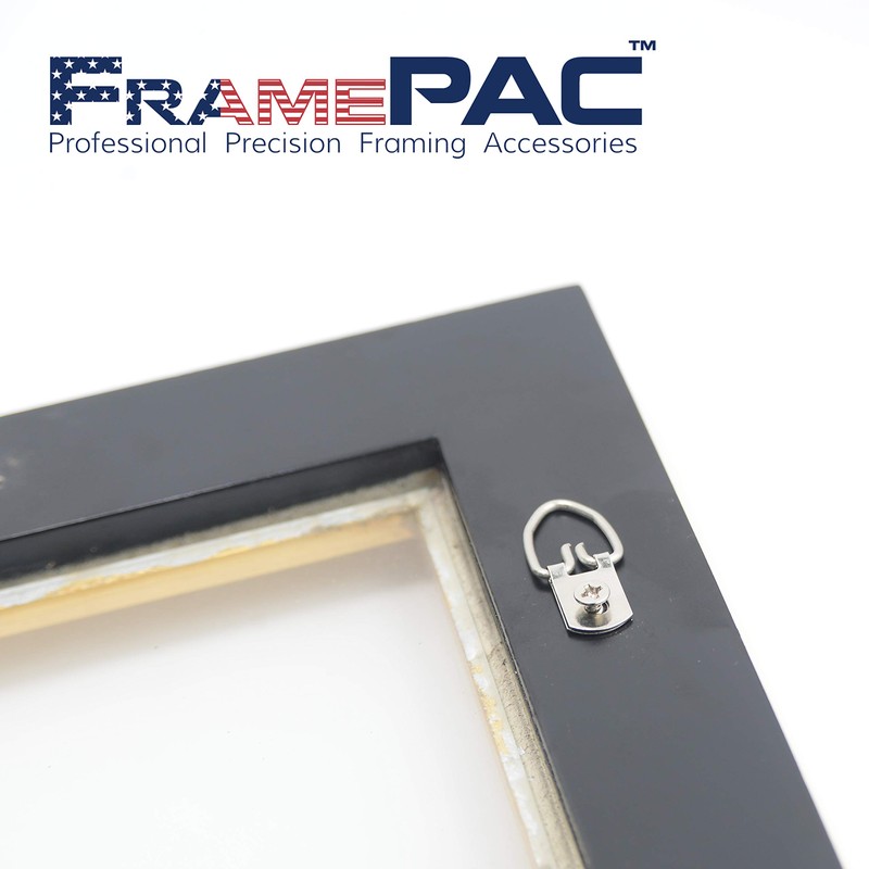 FramePac D Ring Picture Hangers with Screws - 100 Pack