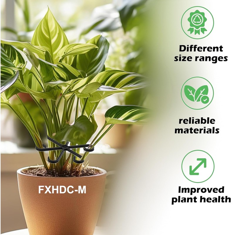 FXHDC-M Reusable Plant Stem Supports for Indoor Plants - 4