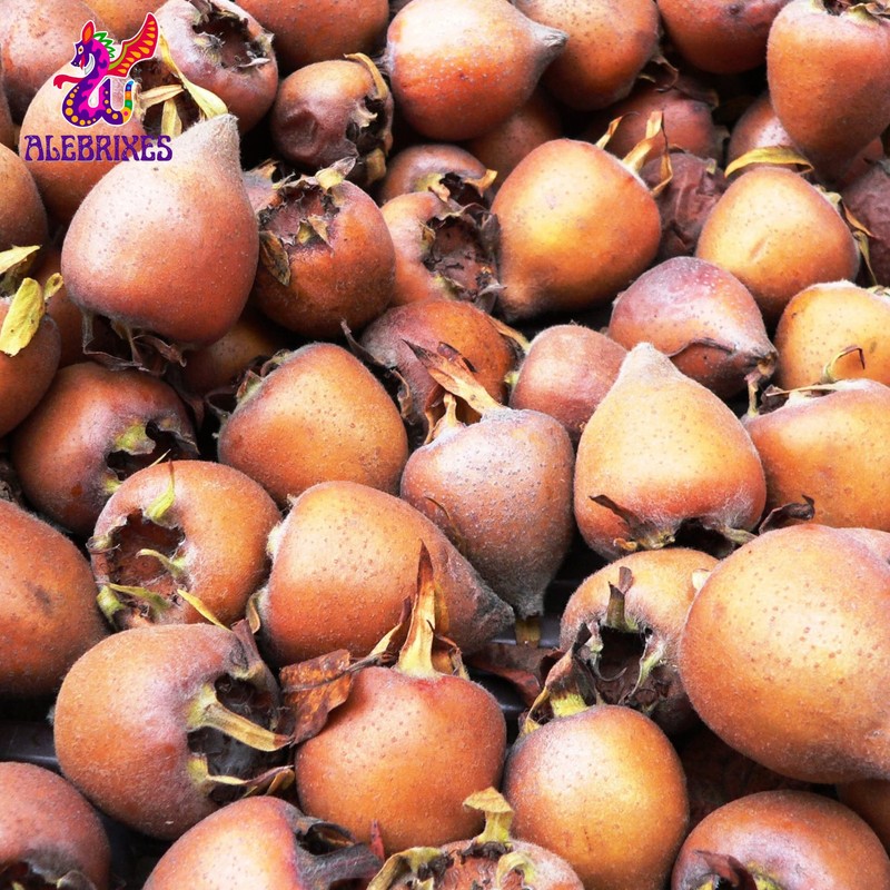 Alebrixes | Loquat Leaves Herbal Tea (4oz)| Premium Quality Whole