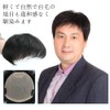 AISIHAIR Men's Wig, Men's Hair Piece, Point Wig, Partial Wig,