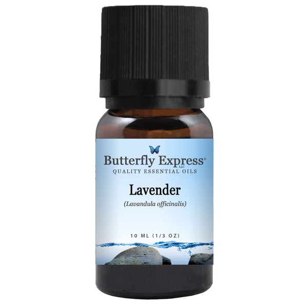 Lavender (Lavandula officinalis) Essential Oil 10ml - 100% Pure - by Butterfly Express