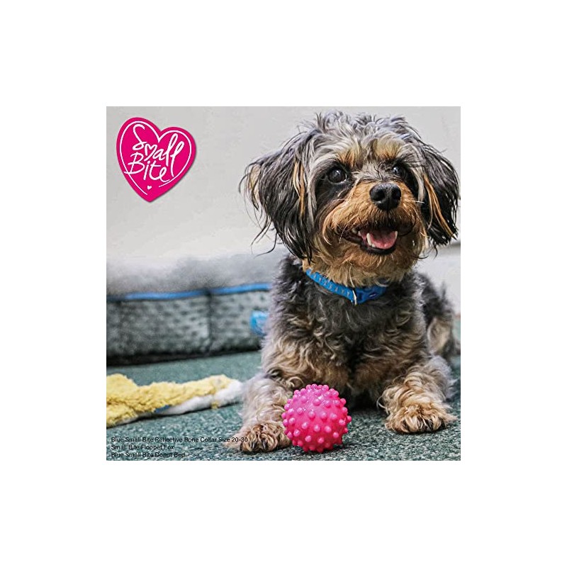 Ancol Small Bite Vinyl 6 Ball Assorted, 4.5 cm, clear