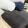 Songwol Towel Hotel Towel Ermo 170g Coma 40 Count 4