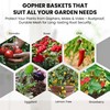 GISSAN Gopher Baskets for Plants – 5 Gallon Root Guard