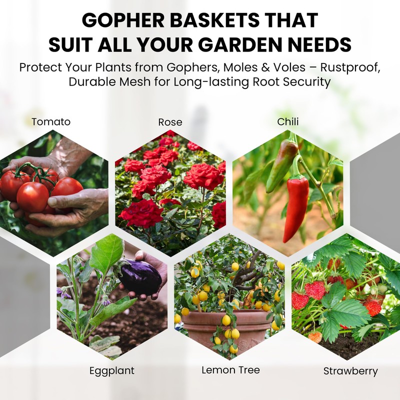 GISSAN Gopher Baskets for Plants – 5 Gallon Root Guard