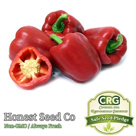 Honest Seeds Sweet Red Bell Pepper Seeds | Non-GMO Heirloom | Fresh Garden Seeds from USA