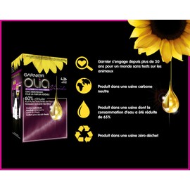 GARNIER OLIA - 4.26 Violine Profond