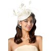 BABEYOND Fascinator Hat Veil Feather Fascinators Hair Clip Tea Party