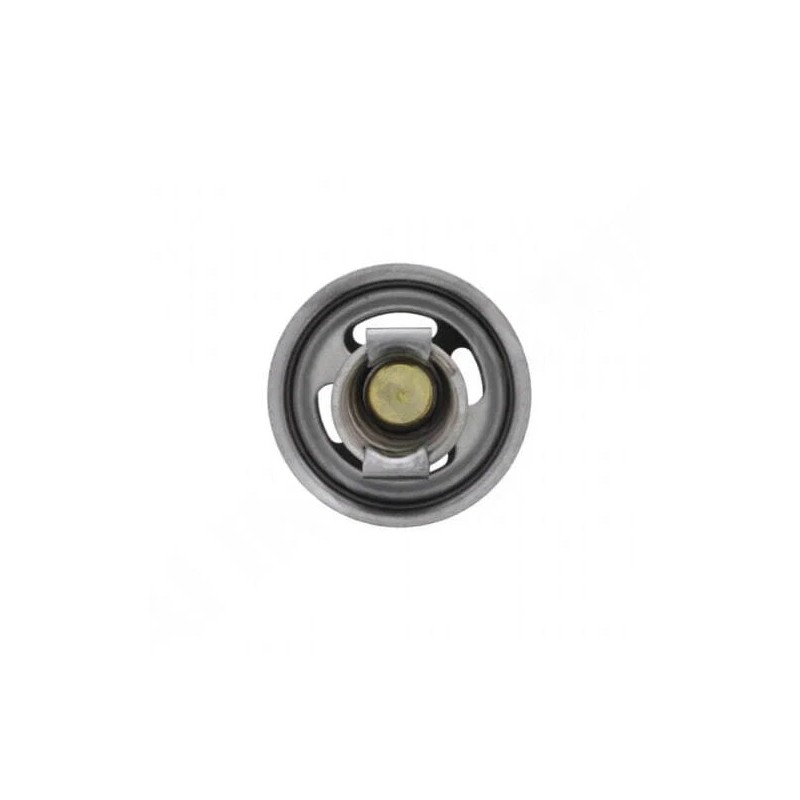 PAI Industries 4952631 3100300 181960 PAI Thermostat Fits Cummins 855