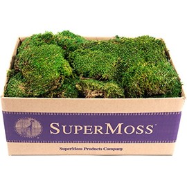 SuperMoss (21538) Mood Moss Preserved, Fresh Green, 3lbs