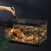 Reptile Feeding Tongs Prevent Slip Stainless Steel Thickened Reptile Feeding